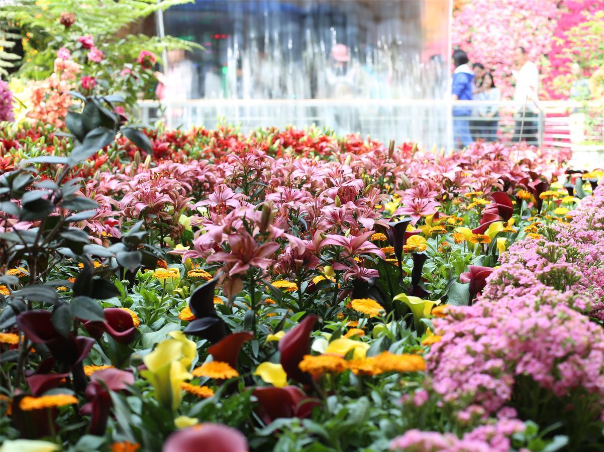 Howard Johnson Flower City Hotel Куньмін Екстер'єр фото